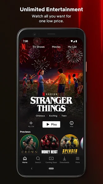 Netflix Mod (Premium Unlocked, Fast Server)